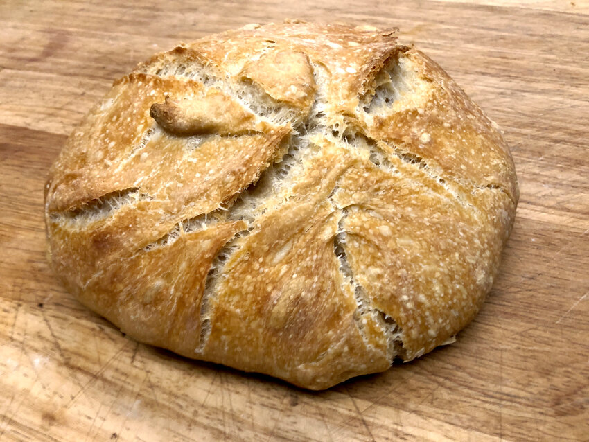 The bread is modest, but I am not.