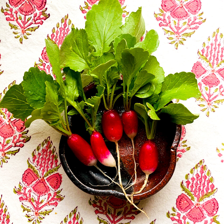 Plant french radish seeds in April and experience the joy of a delicious uprising.