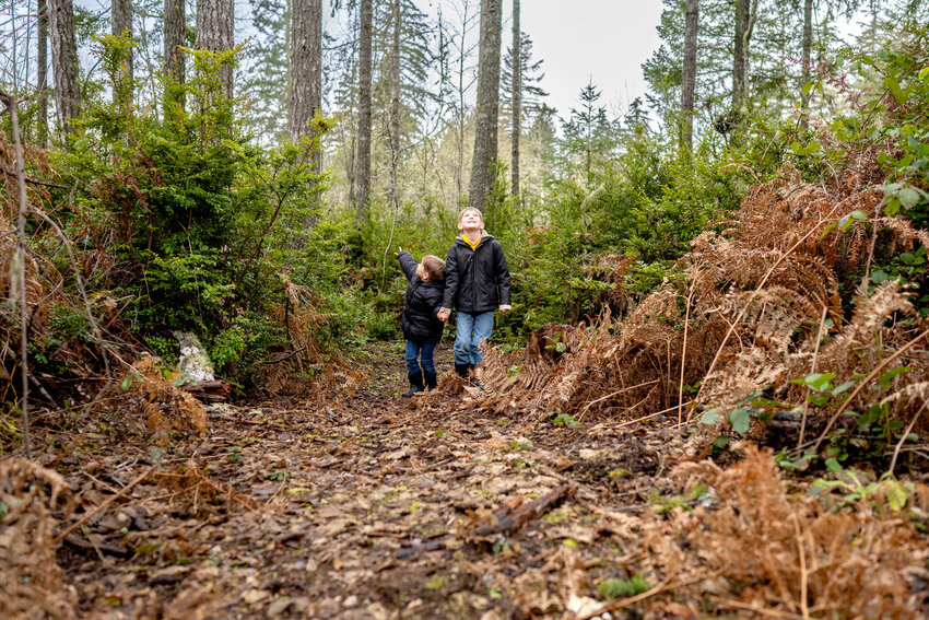 &ldquo;The true meaning of life is to plant trees, under whose shade you do not expect to sit.&rdquo; Nelson Henderson.