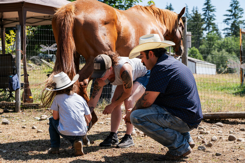 Thurston County Veteran Opens New Farm To Provide Equine Therapy For Military Veterans And First,