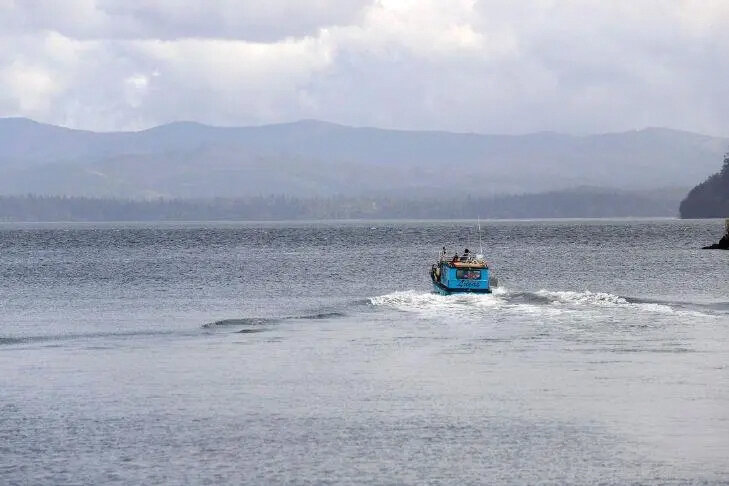 Quinault Tribe make major play for Willapa-Columbia fishing rights - The Reflector