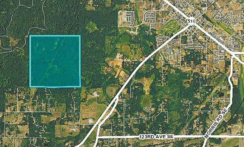 Yelm City Council approves agreement with Stowe Development and Strategies for $20,000 - Nisqually Valley News