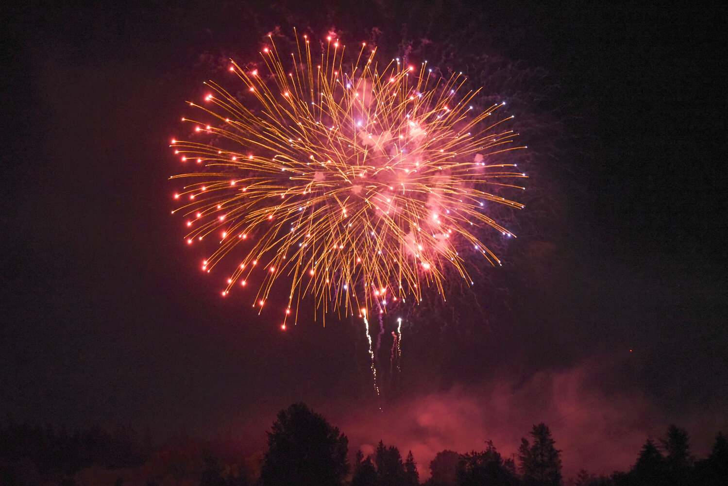 Two injured by fireworks in South Thurston County over Fourth of July weekend