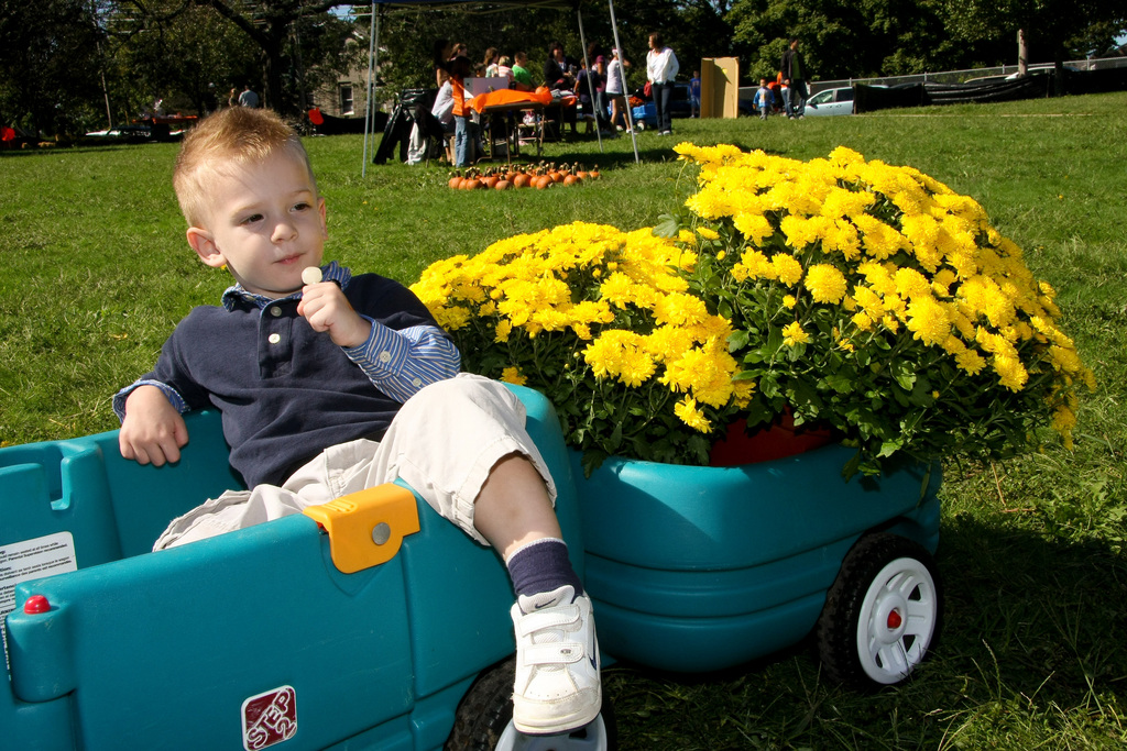 Matthew Wipperman, 3, snuck away for a few minutes to enjoy his lollipop at Parkway School’s Fall Festival last Saturday.