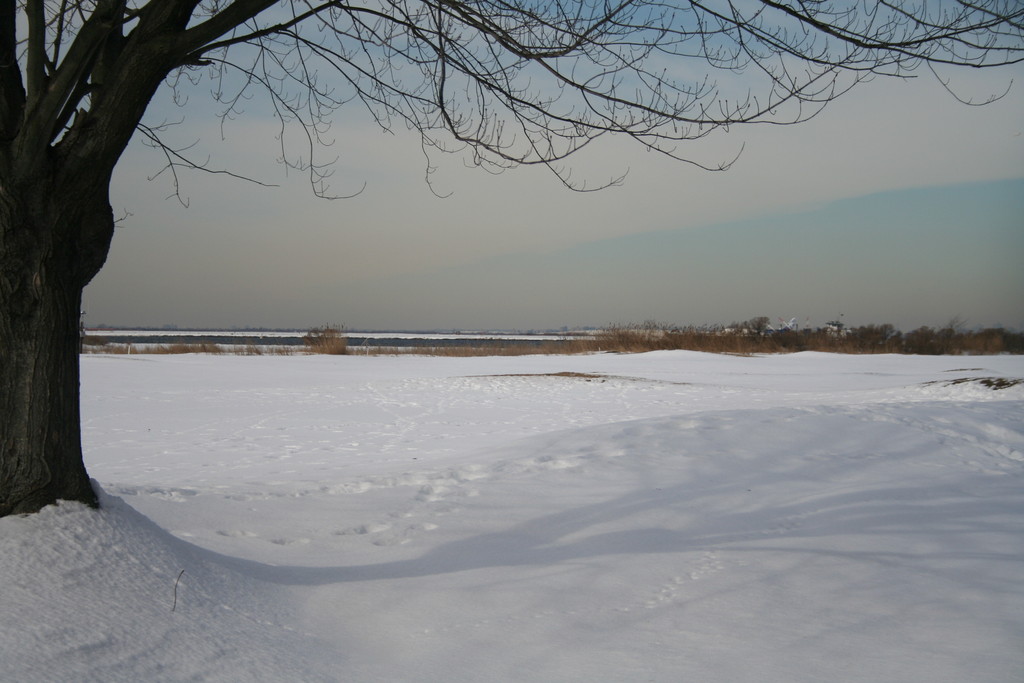 A view from Donahue Avenue in Inwood of Jamaica Bay. Proposed expansion of JFK Airport has residents thinking of possible environmental impacts.