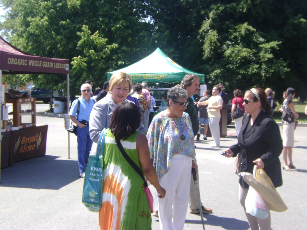 Kate Murray, let, attended the Elmont Farmer's Market, along with Elmont residents Norma De Bartolo, right, and Claudine Hall, in green dress.