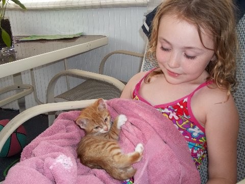 Sarah Zwart, of Levittown, held "Tony the Tiger," the only kitten currently found from the cat and kittens that were misplaced by the Town of Hempstead Animal Shelter.