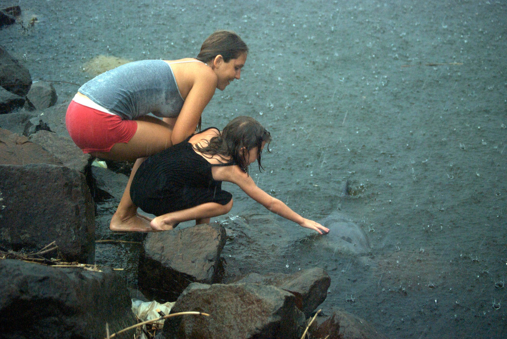 Dominique Ficalora and her neighbor, Gianna came out to pet the dolphin that was swimming in the East Rockaway Channel.