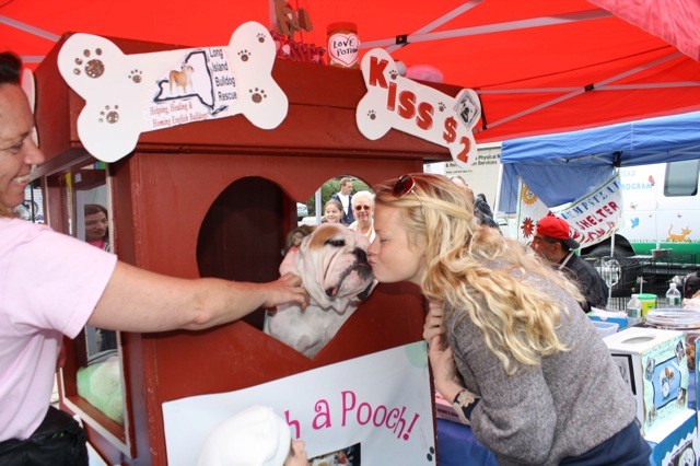 Bruno the bulldog kissed several local residents on Saturday, Sept. 17, at the Covert Avenue Chamber of Commerce Street Fair. Long Island Bulldog Rescue sponsored the booth.