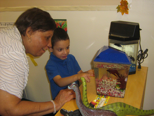 Marco Alvarez and Grandma Alvarez share a moment looking at Strawberry and Blueberry the class pets.