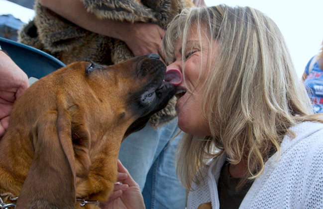 Audrey Pasternack got some love from one of the rescue dogs at the Our Best Friends annual fundraiser at The Fishery last Sunday. Story, more photos, page 13.