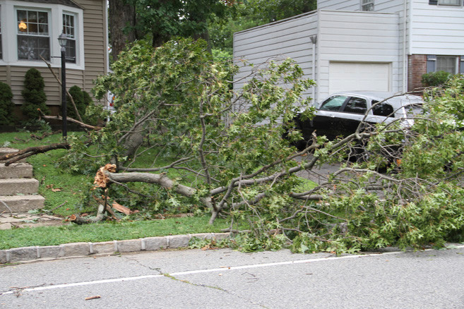 THe worse signs of Irene’s presence was topppled trees and downed power lines.