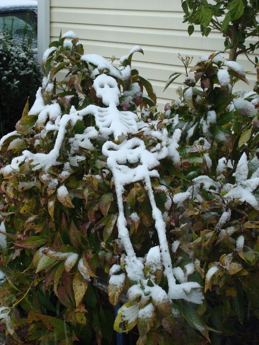 Halloween looked more like Christmas during Saturday's storm.