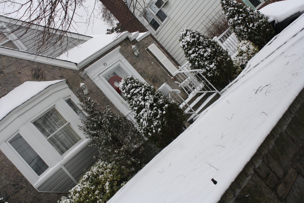 Homes on Ribbon Street in Franklin Square were covered with snow on Saturday.