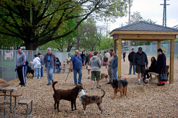 Dogs and their owners came out to see the new park in Valley Stream last Saturday despite some light rain.