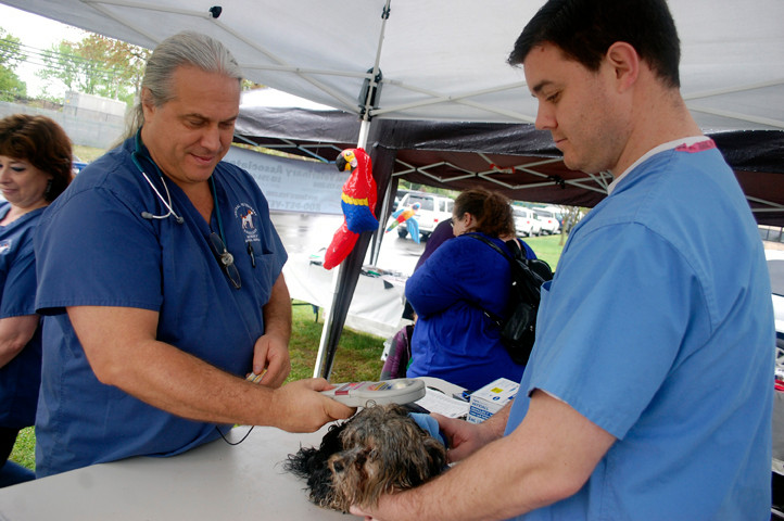 Dr. John Charos of Central Veterinary Associates in Valley Stream provided a free microchipping clinic for dogs.
