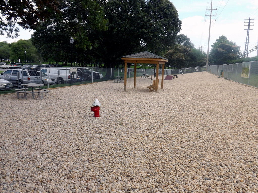 The Valley Stream Dog Park, which opened three months ago, is often empty because dogs don’t like the rock surface.
