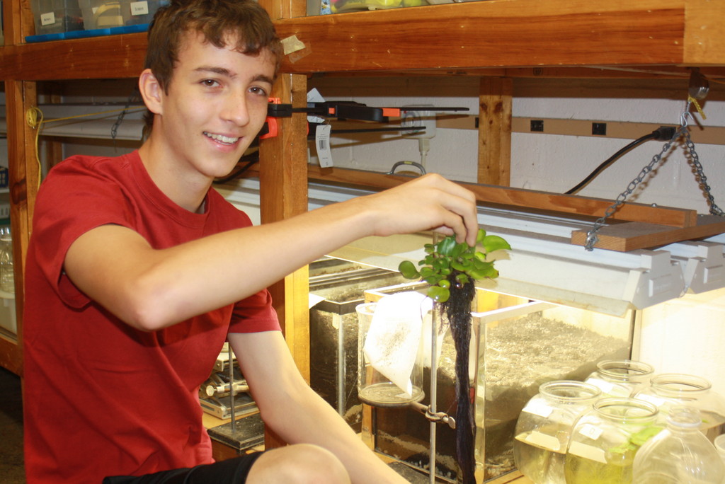 Lynbrook High School senior Peter Lithen examined the effectiveness of the use of the water hyacinth in bioremediation of wastewater produced by fracking.