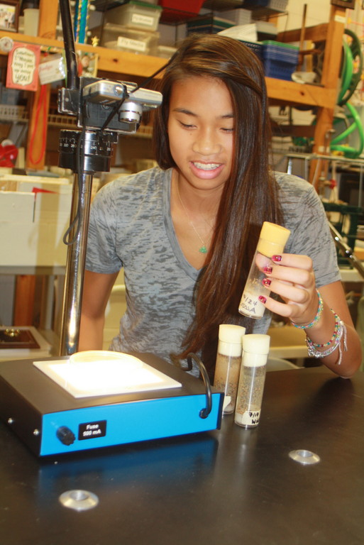 Lynbrook High School senior Samantha Sitt bred fruit flies to study naturopathic treatments for Huntington’s disease.