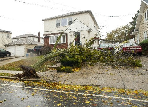 Tree down on South Park Ave. in East Rockaway