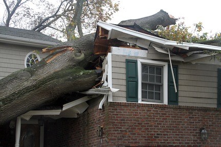 Residents of this house on Marlboro Ct. were in their bedroom but were okay when this tree crashed into it.