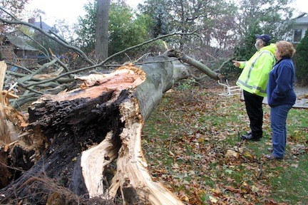 Mayor Fran Murray and Deputy Mayor Nancy Howard assessed damage to RVC residents' property. Here a giant tree was toppled.