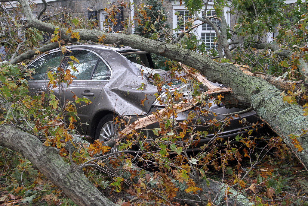 This car on Arrandale Road took a direct hit from Hurricane Sandy.