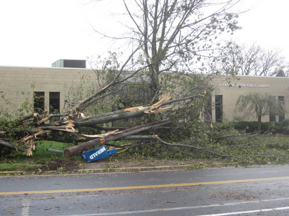 Downed trees in front of the East Meadow Public Library on Front Street.