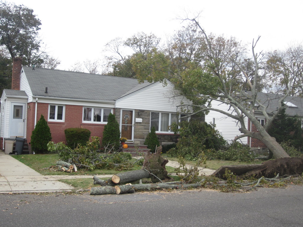 A tree sits atop a home on Clearmeadow Drive.