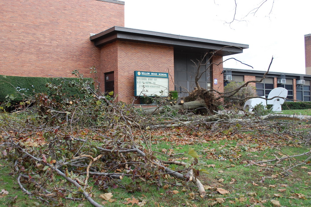 Willow Road School in District 13, which had many trees fall down on its property, also was the last school to get power back.