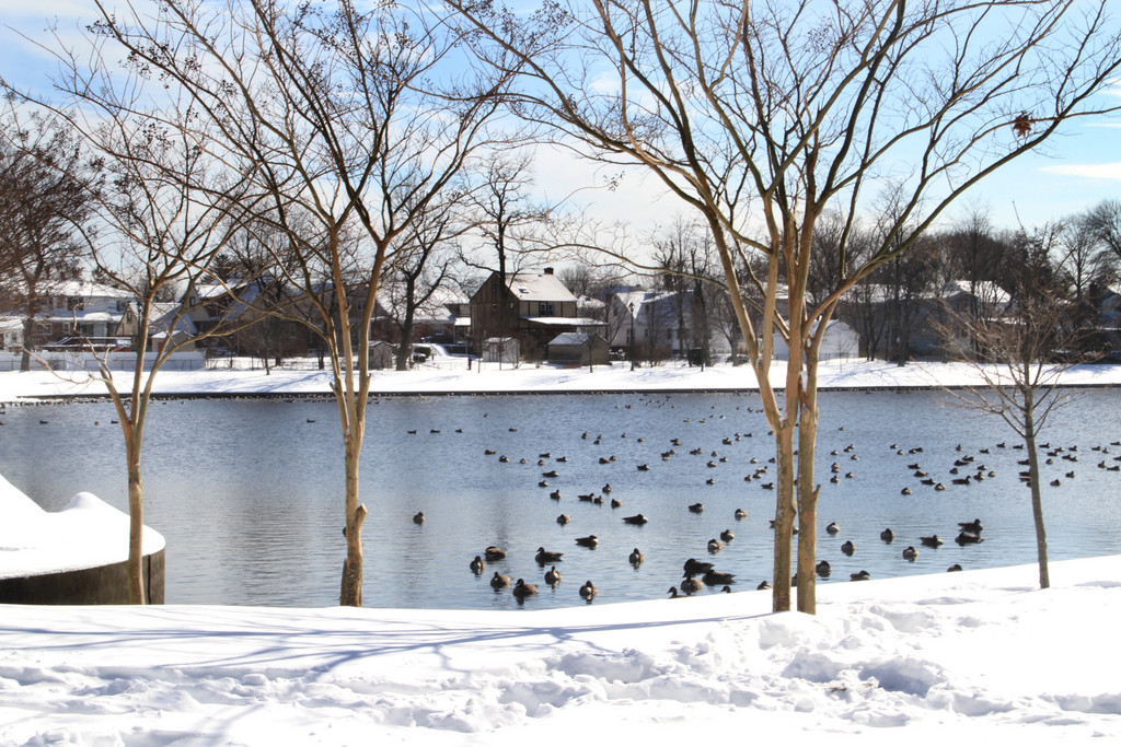 The snow added to the scenery at Valley Stream's Hendrickson Park.