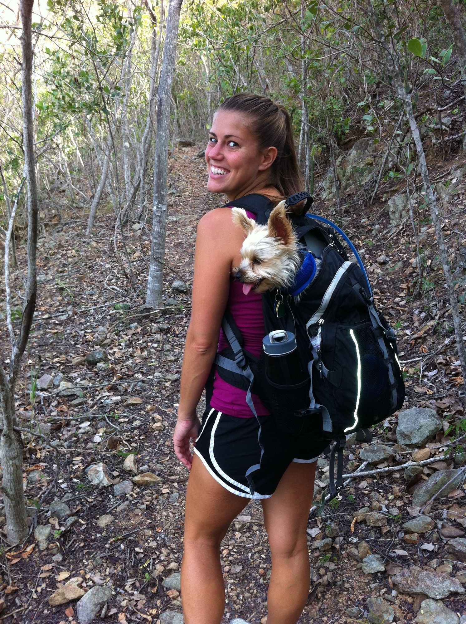 Alisa, her husband, Mike, and a Yorkie named Rocky, lived for a year in the U.S. Virgin Islands.