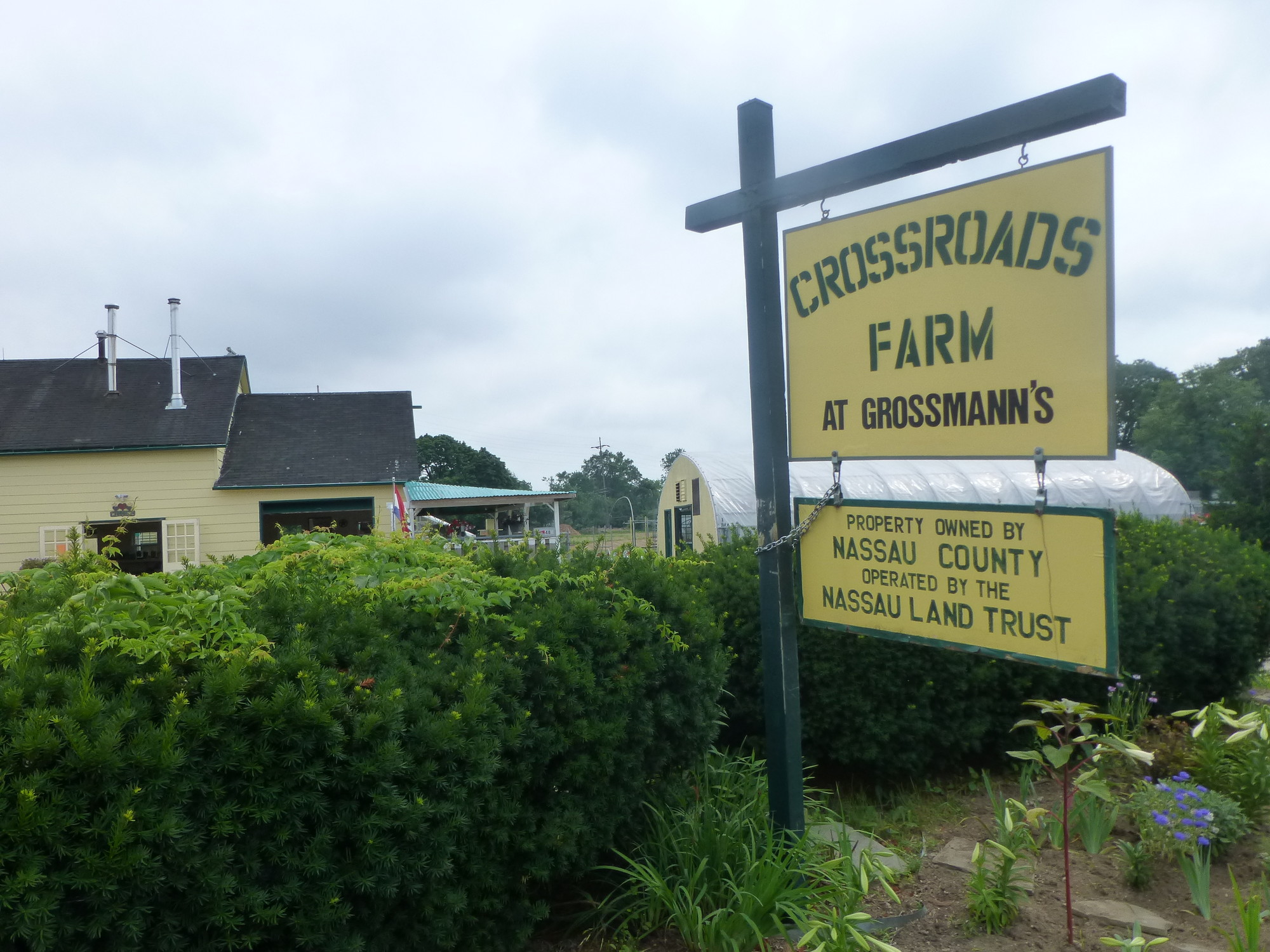 The Nassau Land Trust purchased a parcel of the Grossmann’s property in 2010 to conserve the farmland and establish Crossroads, the last farm in southern Nassau County.