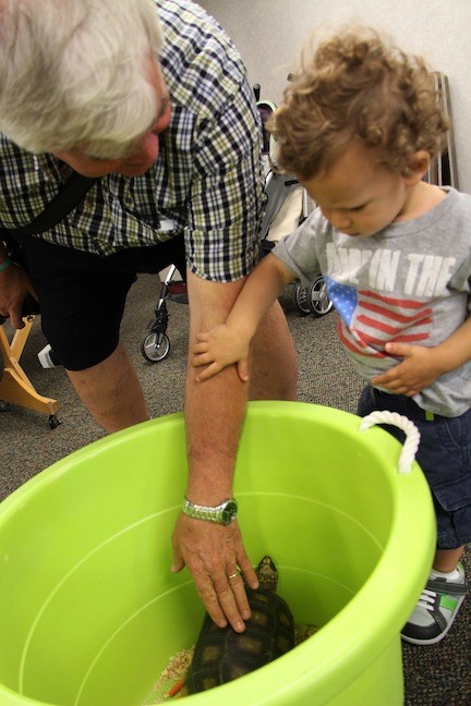 Two-year-old Ethan Newton tried to pull back the hand of his grandfather, Kevin Rodger, as he pet a box turtle at the petting zoo.