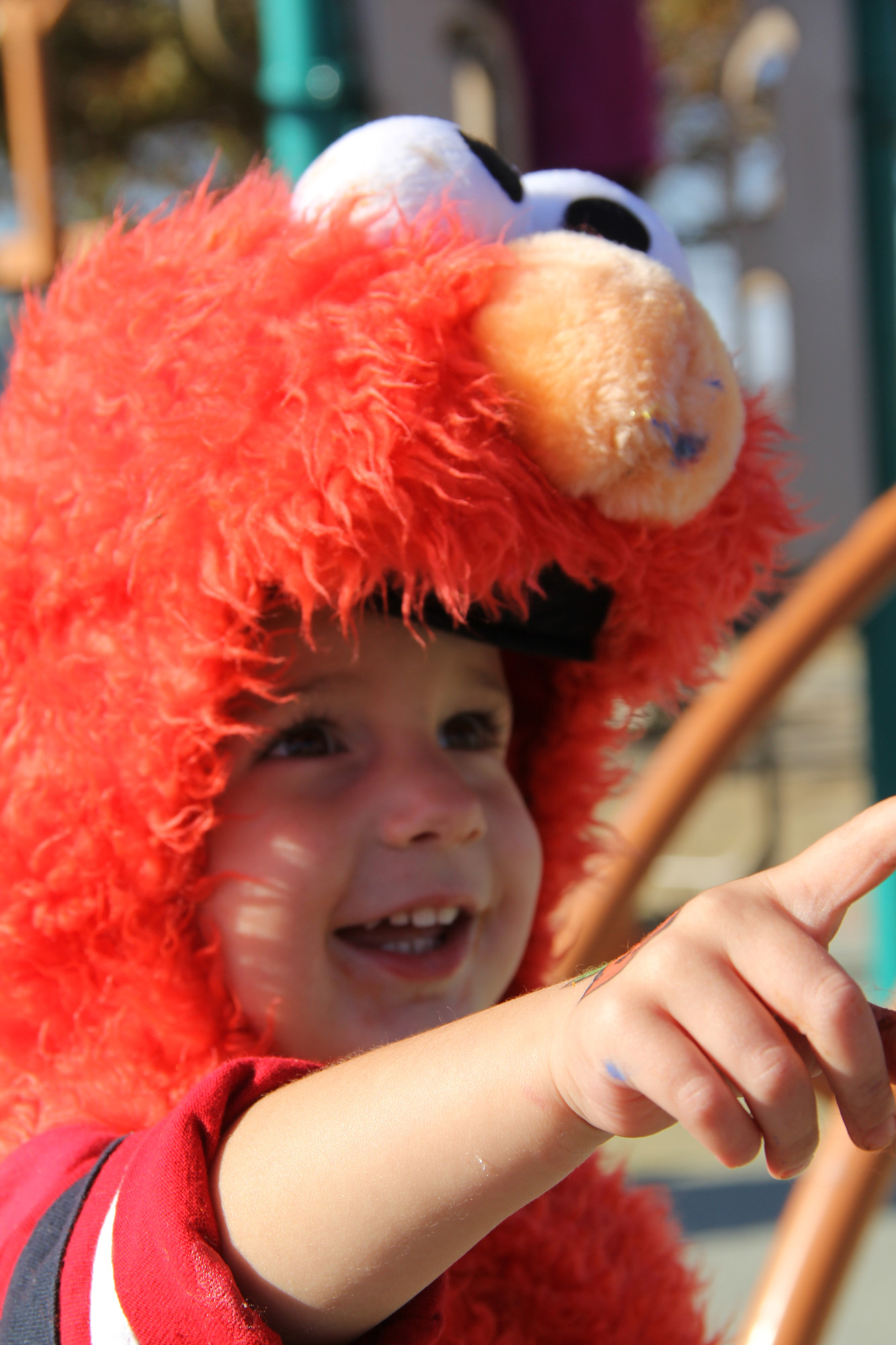 Kevin Lane, the cutest Elmo to ever exist, had a great time at the LOMS Halloween Festival.