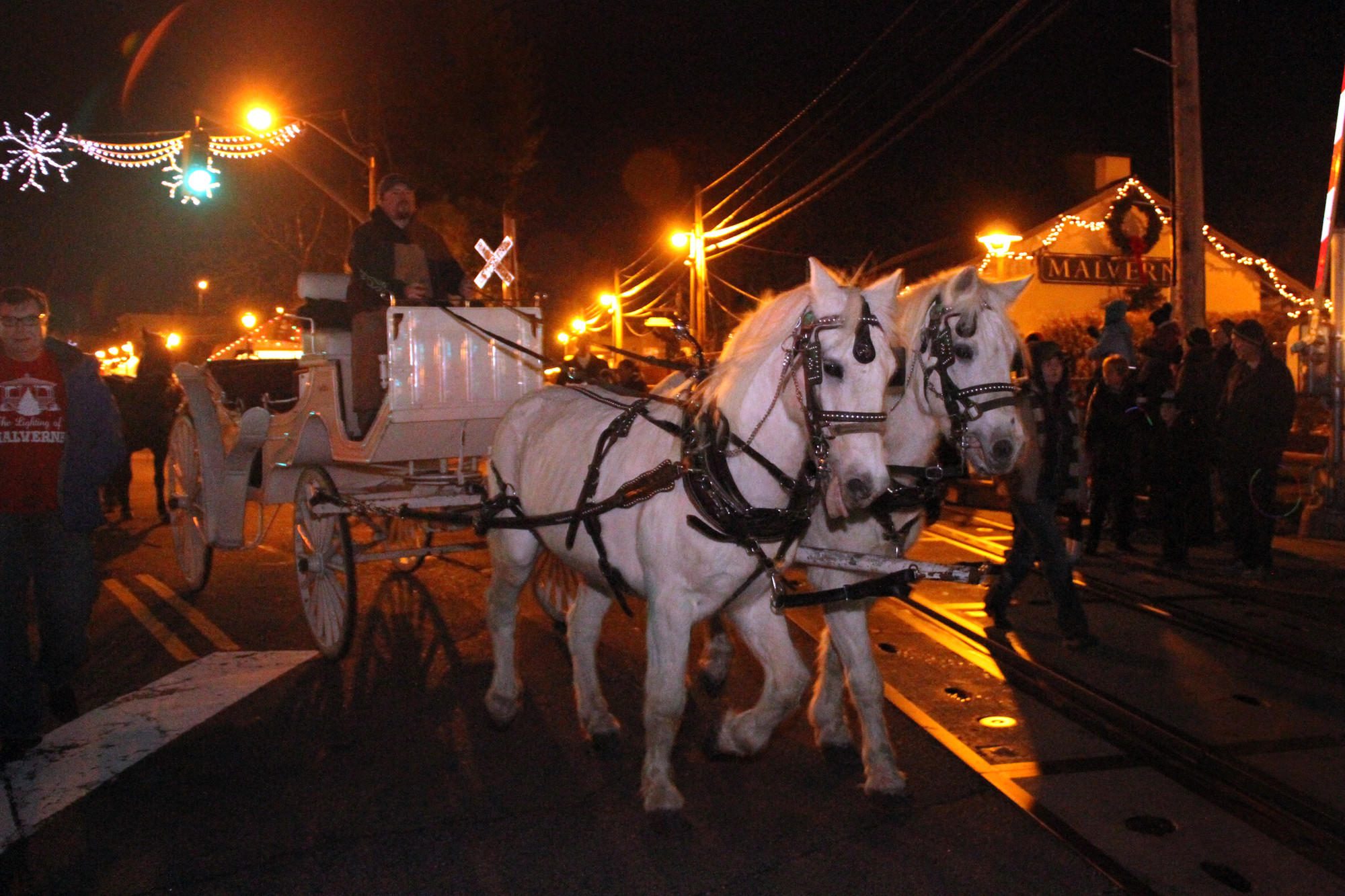 A 2-horsepower carriage offered a scenic ride around the Village of Malverne for visitors at this year’s tree lighting ceremony last Saturday.