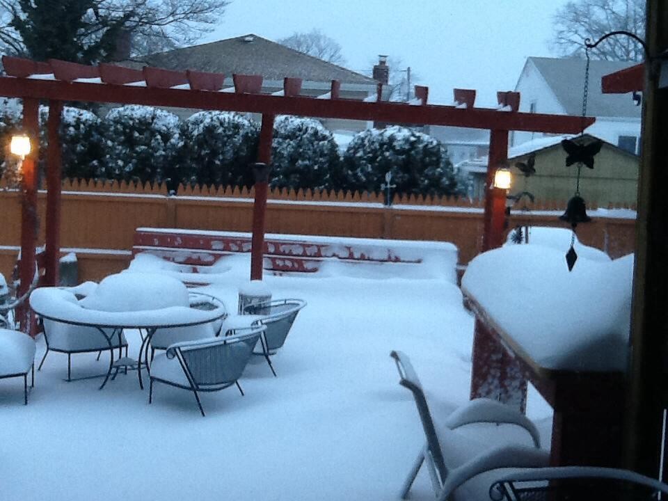 Jim Zabatta's backyard on Regent Street in Valley Stream was covered with snow Friday morning.