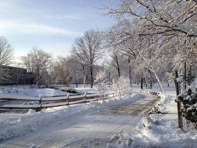 Casey Woluewich, 9, snapped this snow scene of Hendrickson Park in Valley Stream.