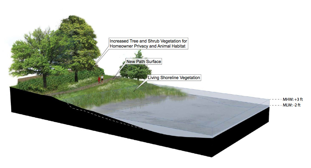 A new design is planned for the shoreline along “the Path.”