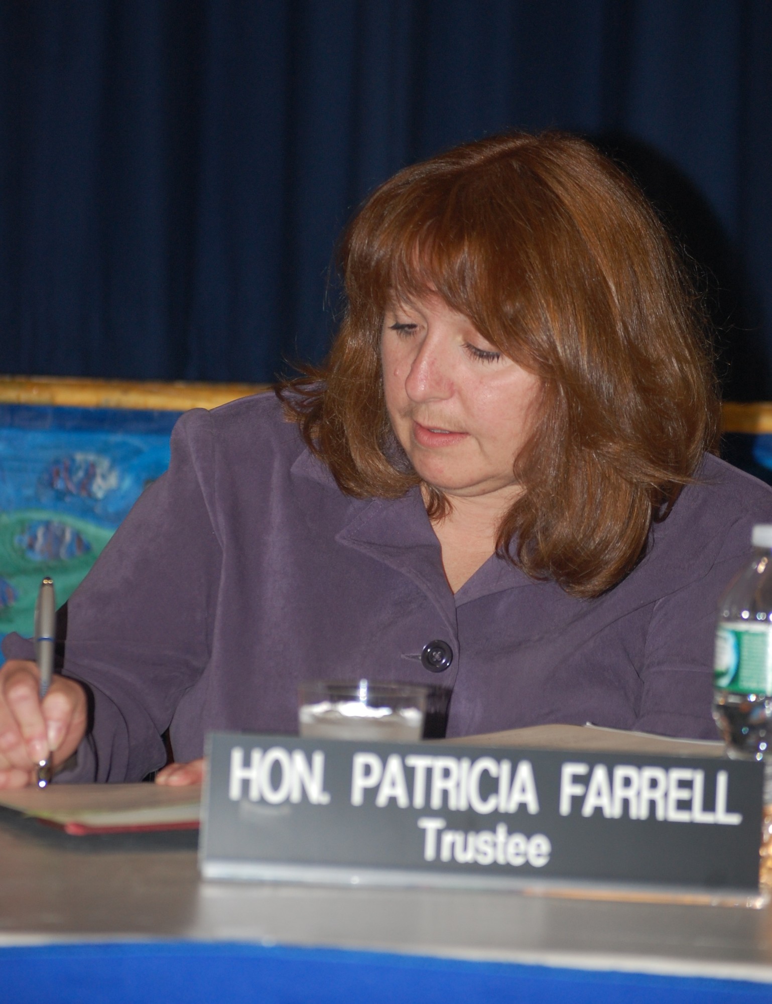 Patricia Farrell was sworn in as the newest member of the District 13 Board of Education.