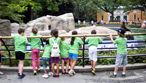 The adventure campers enjoyed the Bronx Zoo, top photo.