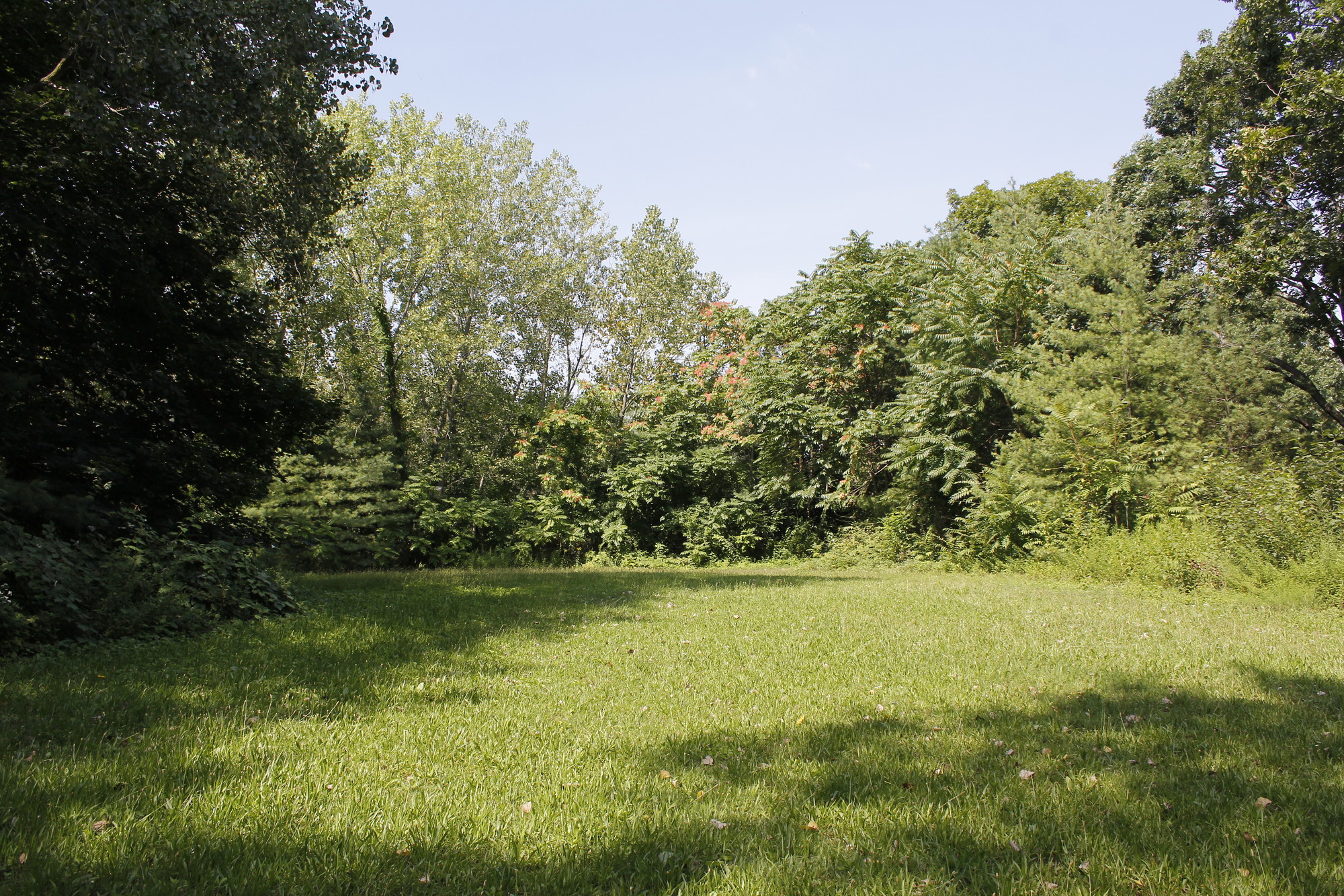A meadow greets you when you enter the preserve on Tremont Place.
