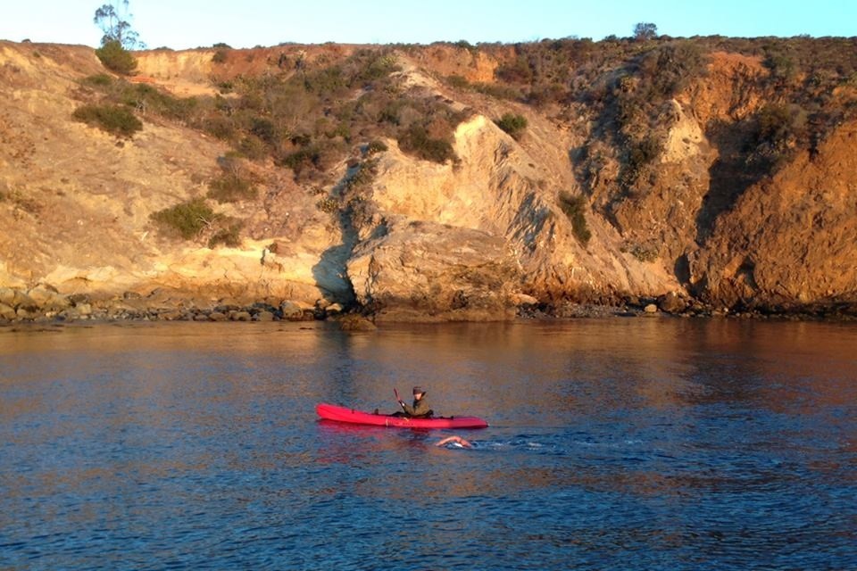 Lori King swam in the water off Catalina Island with a spotter in a kayak.