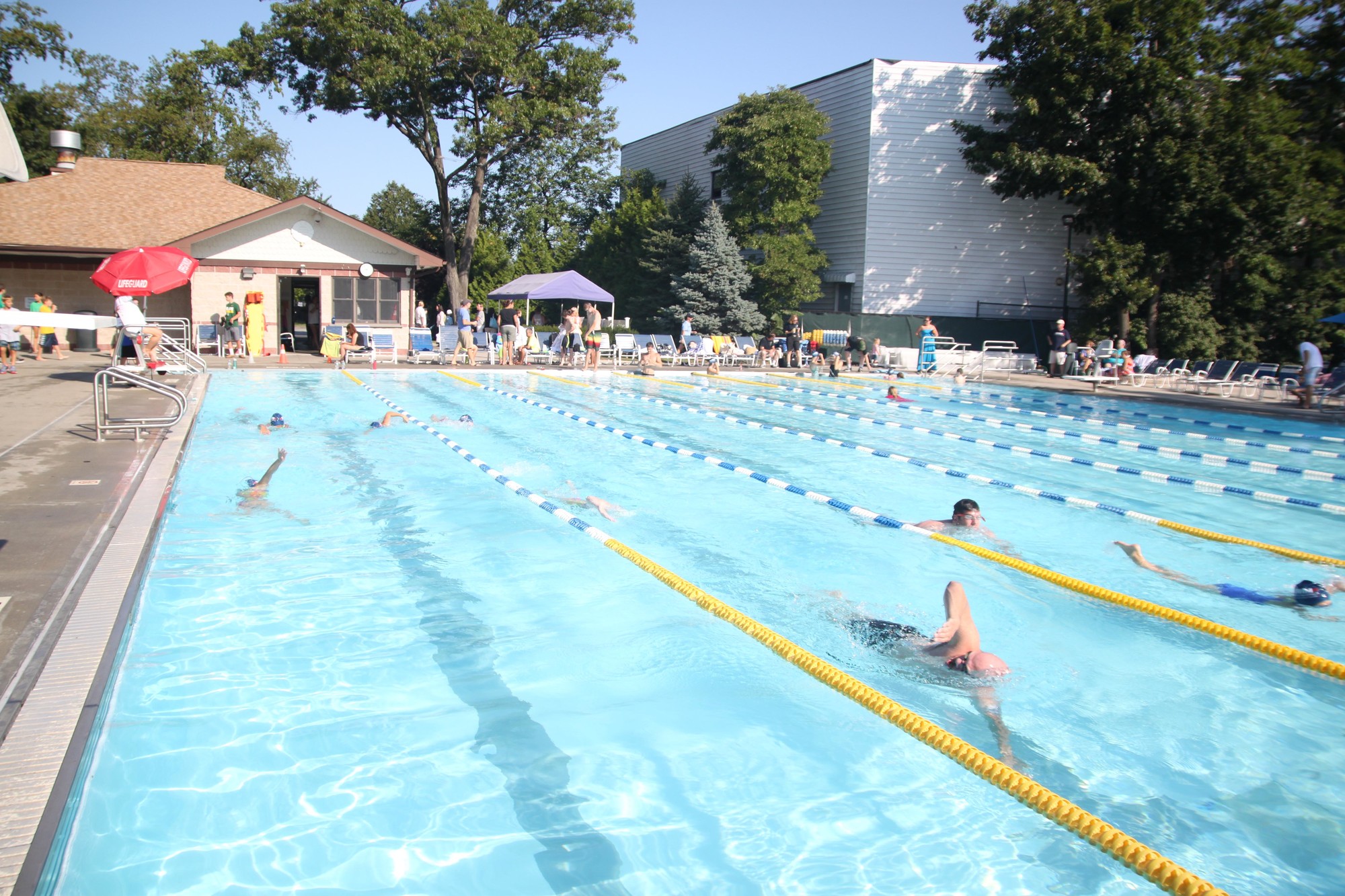 Last Saturday morning, swimmers came to the pool at Greis Park to participate in Swim Across America and raise money for a good cause.