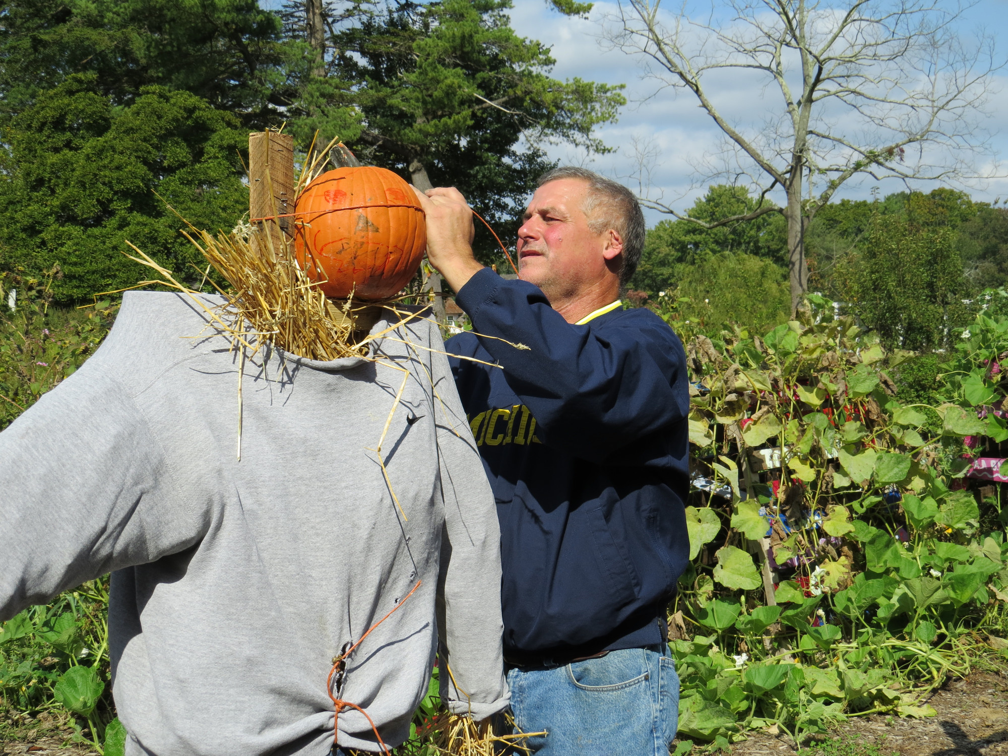 Chris Roberts, Caretaker at The Farm in Oyster Bay, secured a pumpkin headed scarecrow on Girl Scouts Fall project day.