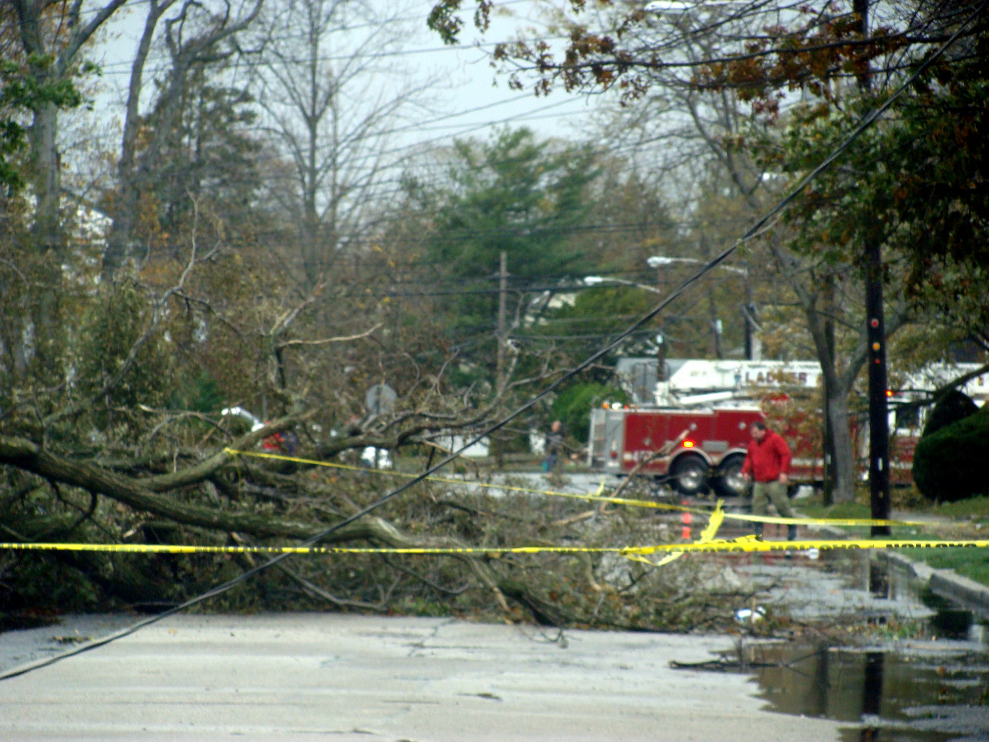Downed electrical wires were a major problem for LIPA and residents after the storm.