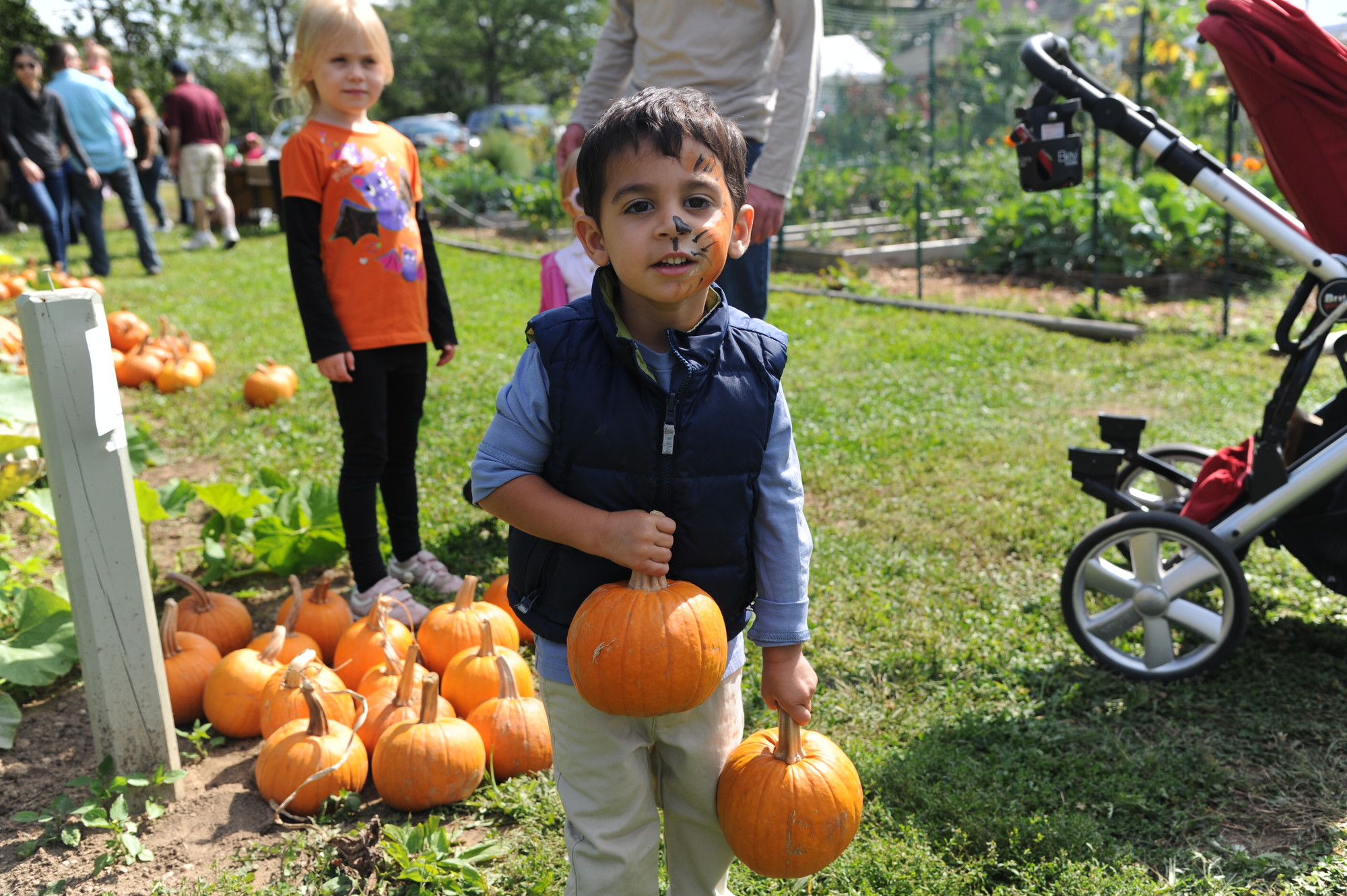 Miles Tobon, 2, a half-tiger, half-human, enjoyed some pumpkin picking at the fall festival.