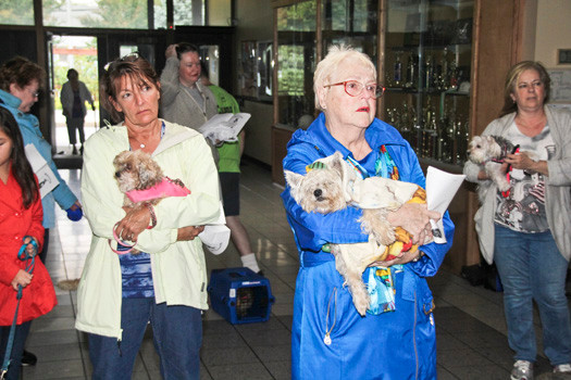 Several dogs were brought by their human companions to St. Francis de Chantal Church in Wantagh on Oct. 4 for the traditional blessing of the animals.