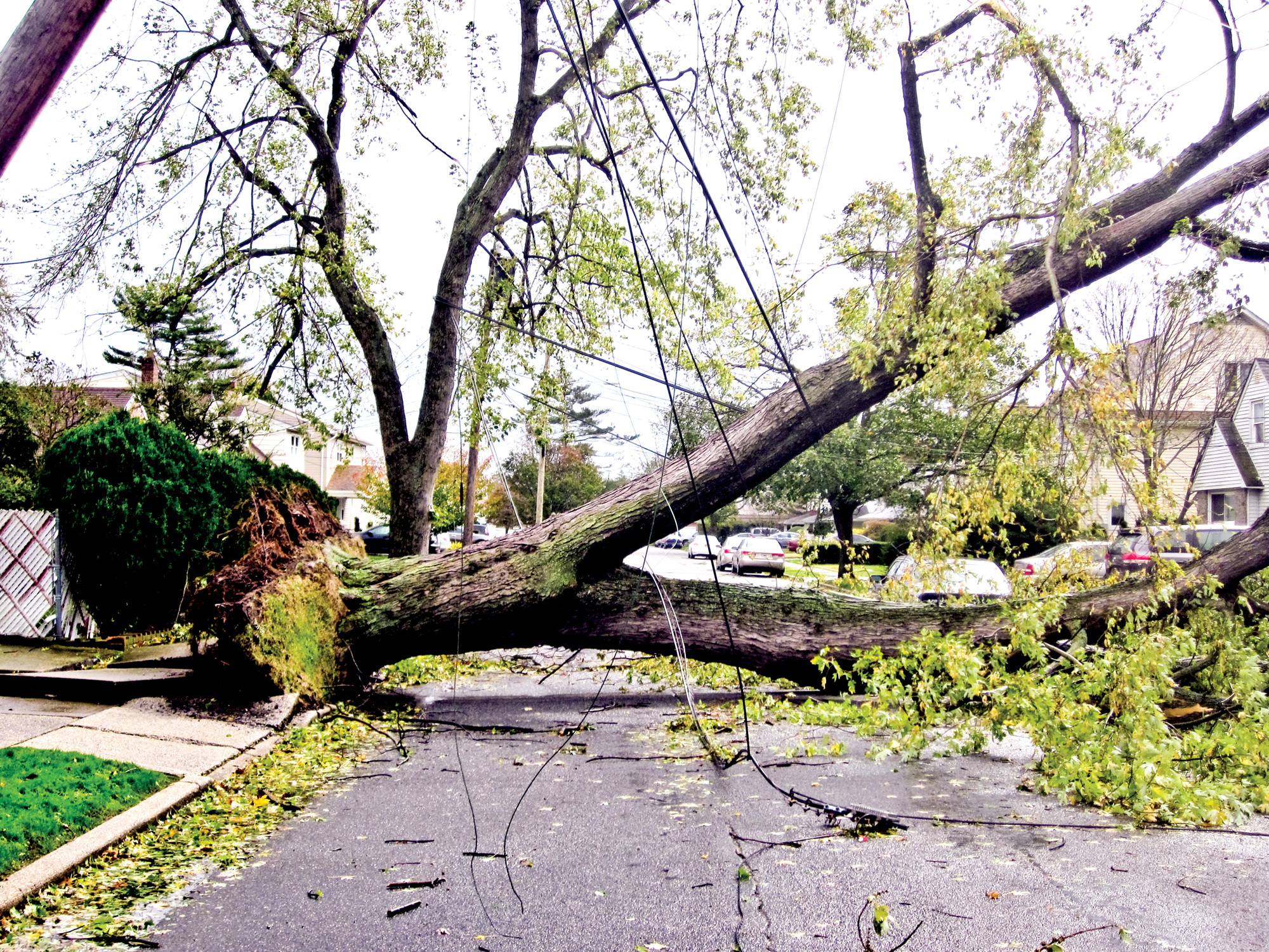 Many residents endured up to two weeks in the dark because of downed trees that fell on power lines, like this one on Jeffrey Avenue.