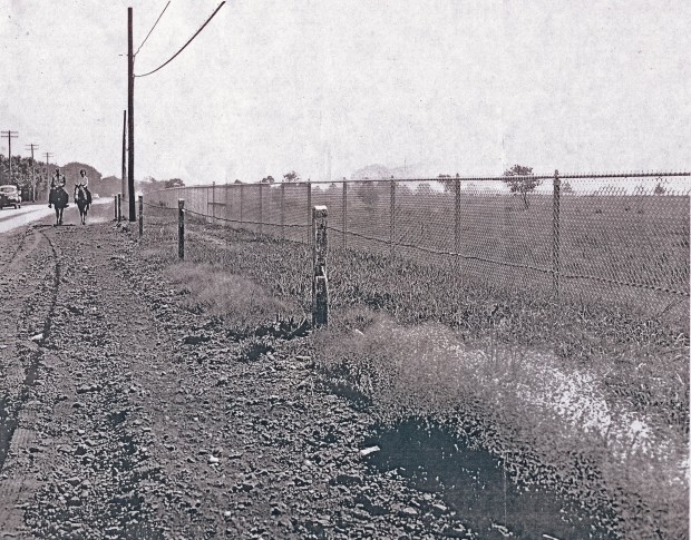 The same view, heading toward Carman Avenue, in the 1940s.
